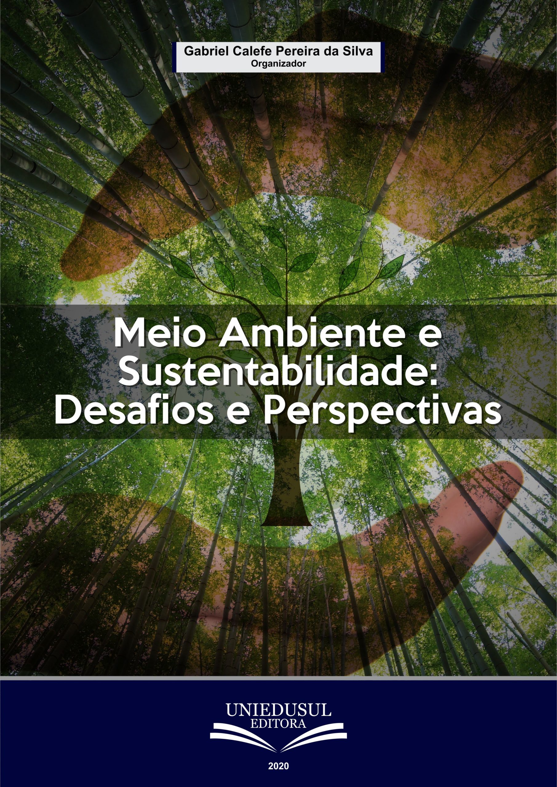 Qual é o conceito de criticismo? Qual é o conceito de criticismo?